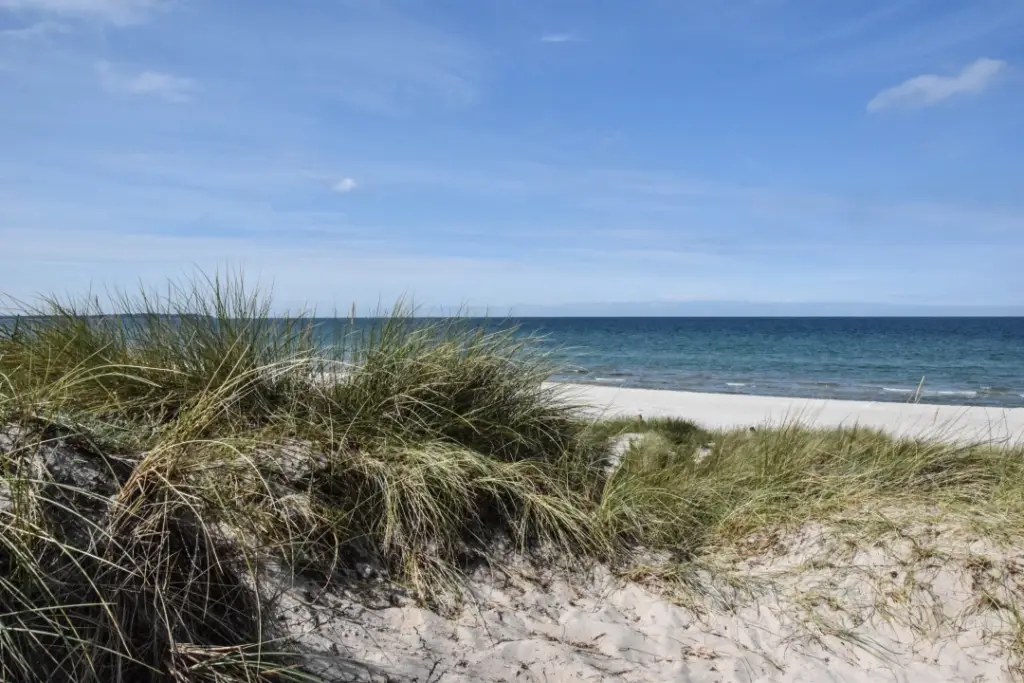 Der Strand Nyrup in Dänemark.