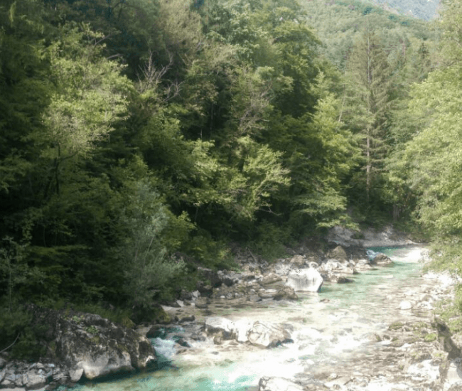 Das Bild zeigt den Fluss Soca in Slowenien.