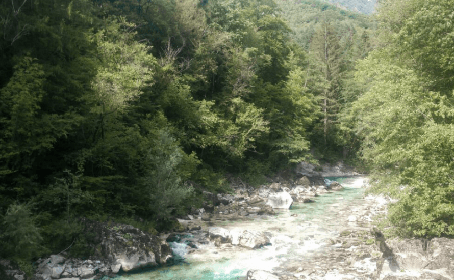 Das Bild zeigt den Fluss Soca in Slowenien.