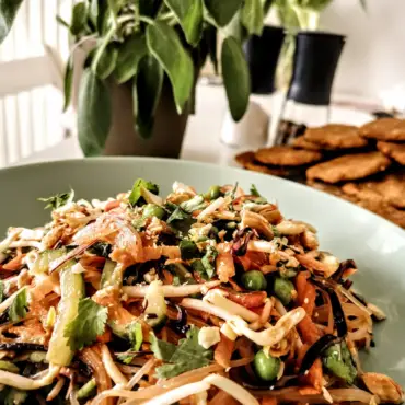 Das Bild zeigt einen Glasnudelsalat von einfach-herumgurken. Aus der Seite wird das Rezept dazu genau beschrieben.